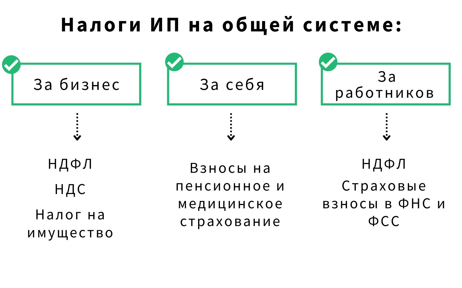 ИП на общей системе налогообложения | Деловая среда